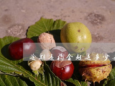 逾期违约金超过多少无效 逾期违约金超过多少无效