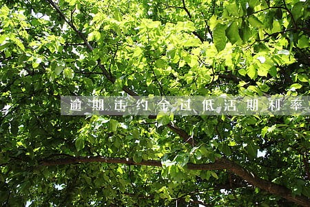 逾期违约金过低活期利率 逾期违约金过低活期利率