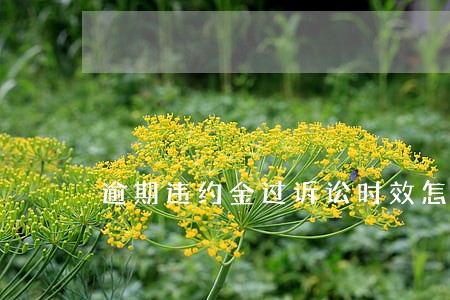 逾期违约金过诉讼时效怎么算 逾期违约金过诉讼时效怎么算