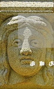 逾期违约金过高上诉状 逾期违约金过高上诉状