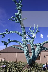 逾期违约金还不上怎么办 逾期违约金还不上怎么办