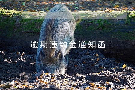 逾期违约金通知函 逾期违约金通知函