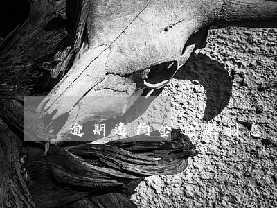 逾期违约金逾期利息 逾期违约金逾期利息