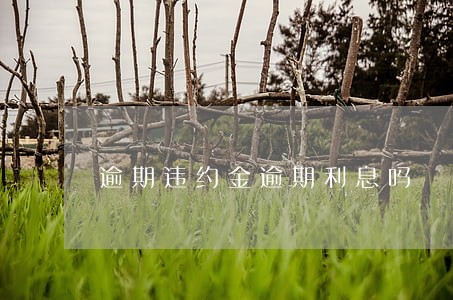 逾期违约金逾期利息吗 逾期违约金逾期利息吗