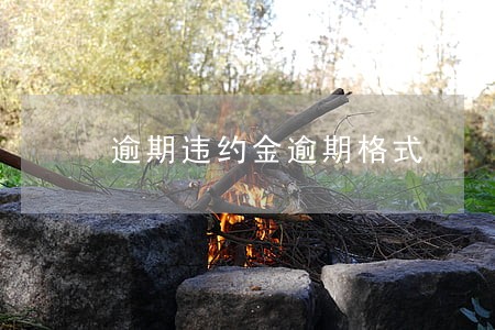 逾期违约金逾期格式 逾期违约金逾期格式