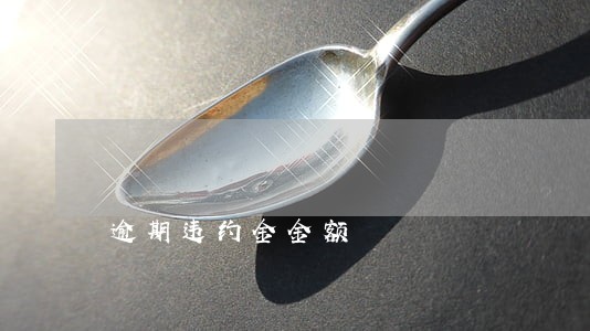 逾期违约金金额 逾期违约金金额
