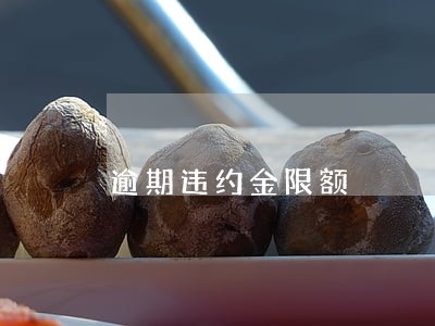 逾期违约金限额 逾期违约金限额