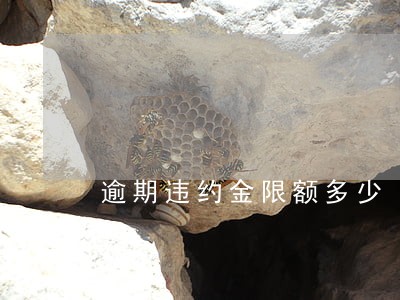 逾期违约金限额多少 逾期违约金限额多少