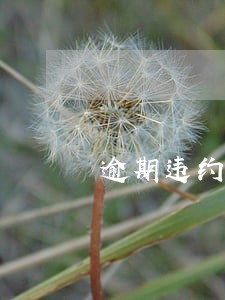 逾期违约金高法解释 逾期违约金高法解释