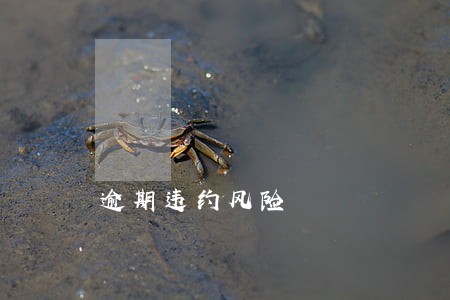逾期违约风险 逾期违约风险