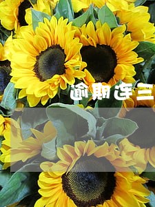 逾期连三公积金办理