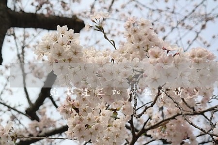 逾期连三如何在申请 逾期连三如何在申请