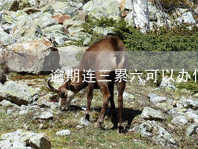 逾期连三累六可以办信用卡吗 逾期连三累六可以办信用卡吗