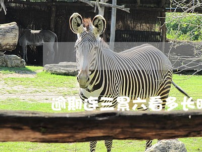 逾期连三累六看多长时间之内的 逾期连三累六看多长时间之内的