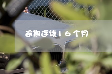 逾期连续16个月 逾期连续16个月