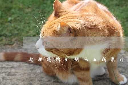 逾期连续3期以上或累计6期 逾期连续3期以上或累计6期