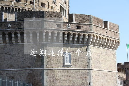 逾期连续6个月 逾期连续6个月