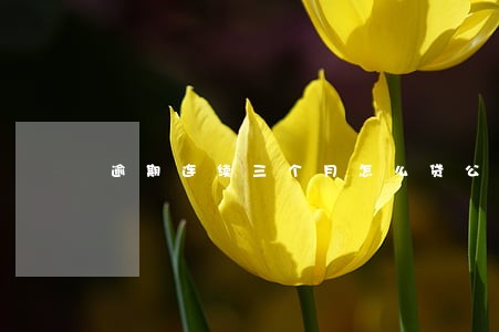 逾期连续三个月怎么贷公积金 逾期连续三个月怎么贷公积金