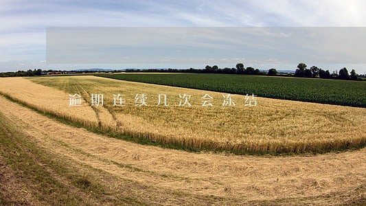 逾期连续几次会冻结