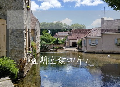 逾期连续四个1 逾期连续四个1