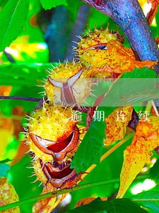 逾期连续超过七次 逾期连续超过七次