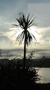 逾期连续超过三个月什么意思 逾期连续超过三个月什么意思