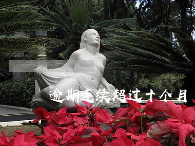 逾期连续超过十个月