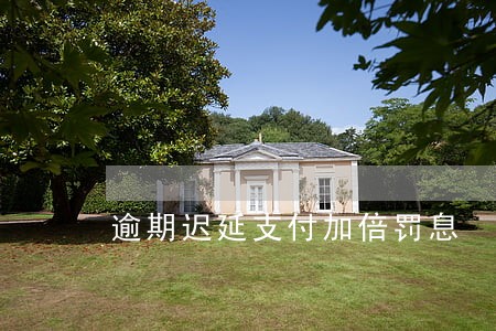 逾期迟延支付加倍罚息