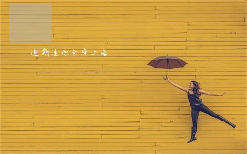 逾期迷你仓库上海 逾期迷你仓库上海