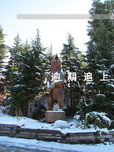 逾期追上门 逾期追上门