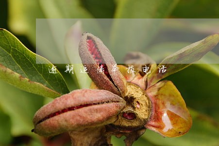 逾期追债举报电话