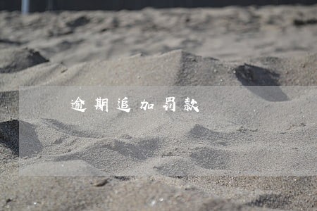 逾期追加罚款 逾期追加罚款