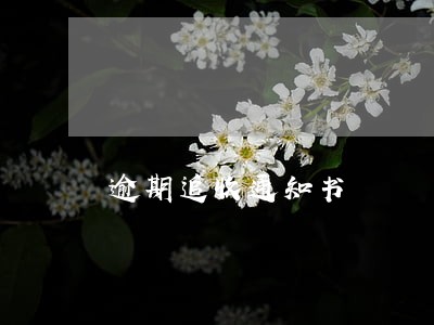 逾期追收通知书 逾期追收通知书