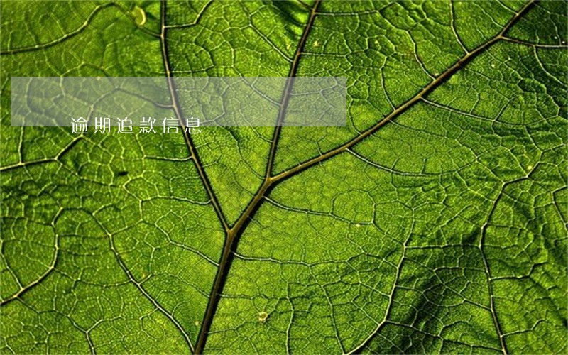 逾期追款信息 逾期追款信息