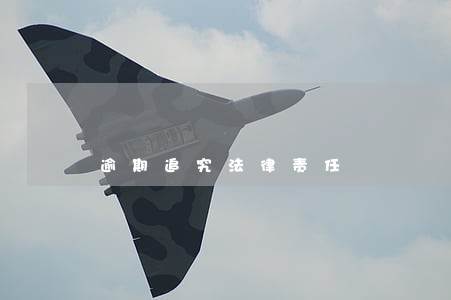 逾期追究法律责任 逾期追究法律责任