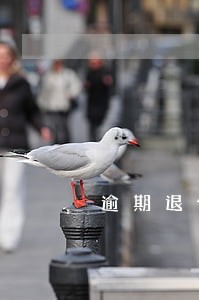 逾期退休怎么赔偿多少钱 逾期退休怎么赔偿多少钱