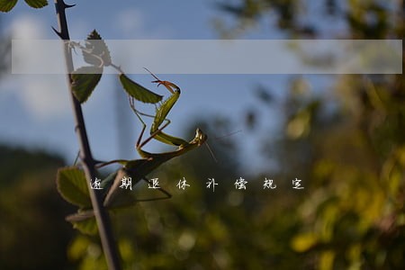 逾期退休补偿规定 逾期退休补偿规定