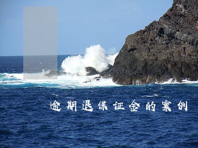 逾期退保证金的案例