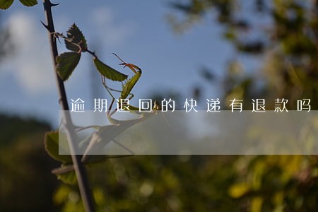 逾期退回的快递有退款吗 逾期退回的快递有退款吗