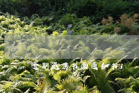 逾期退房书面通知书1 逾期退房书面通知书1