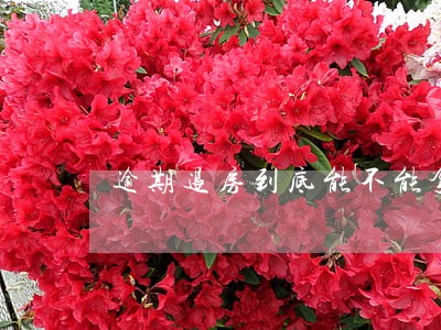 逾期退房到底能不能拿回首付款吗 逾期退房到底能不能拿回首付款吗