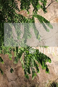 逾期退房开发商赔偿过低咋办 逾期退房开发商赔偿过低咋办
