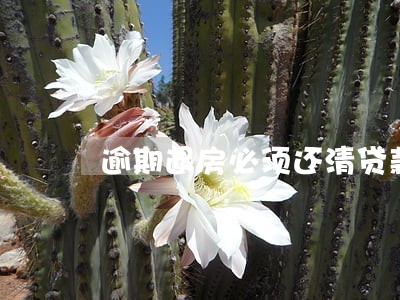 逾期退房必须还清贷款吗 逾期退房必须还清贷款吗