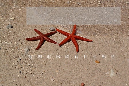 逾期退房能有什么赔偿 逾期退房能有什么赔偿