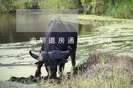 逾期退房通知书范本