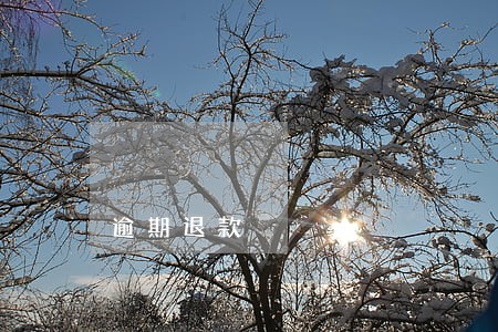 逾期退款 逾期退款