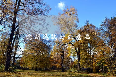 逾期退款什么意思 逾期退款什么意思