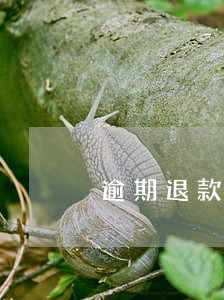 逾期退款利息怎么处理 逾期退款利息怎么处理