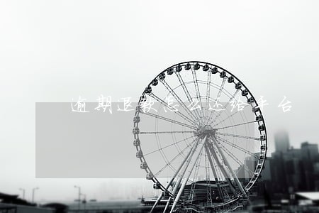 逾期退款怎么还给平台 逾期退款怎么还给平台