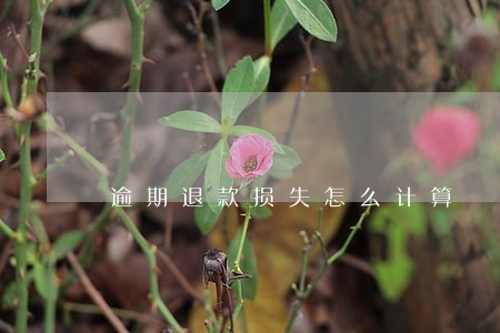 逾期退款损失怎么计算